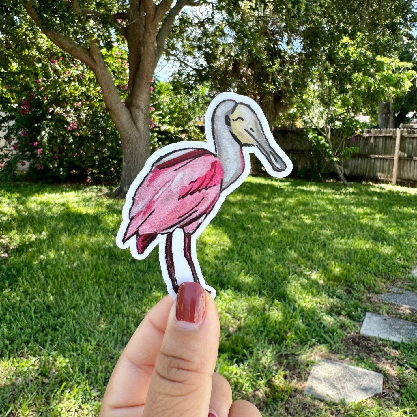 "Roseate Spoonbill" Sticker