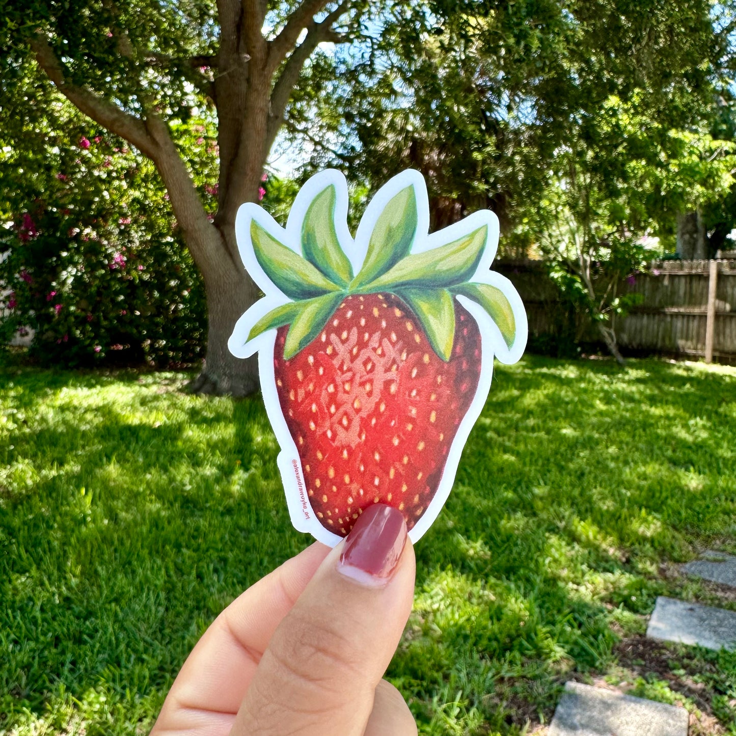 "Plant City Strawberry" Sticker