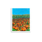 "Pumpkin Patches & Corn Stalks" Art Print