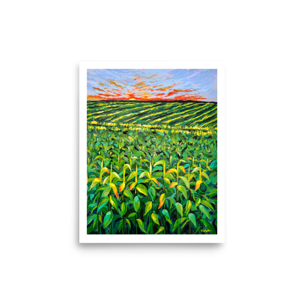 "Field of Dreams" Art Print