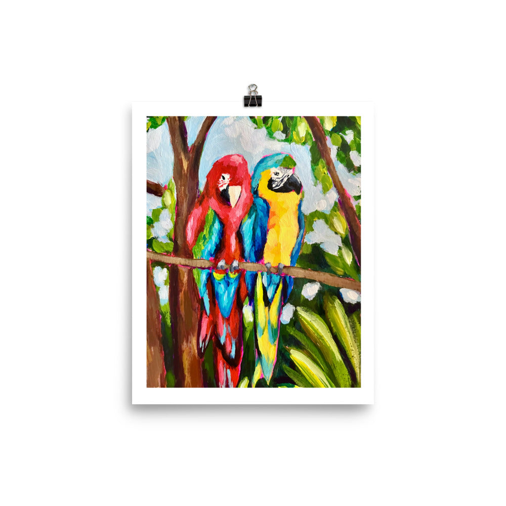 "Macaws" Art Print